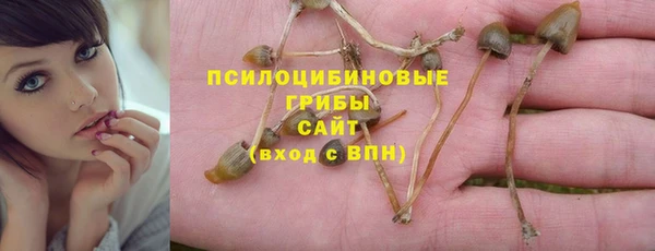 mdpv Дмитровск