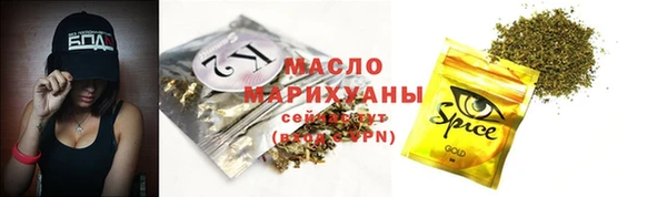 молекула духа Дмитров