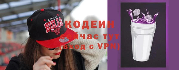 молекула духа Дмитров