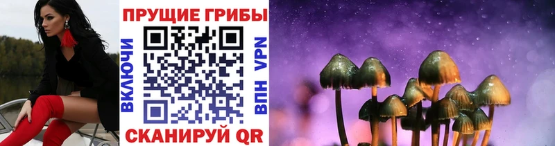 Галлюциногенные грибы мицелий Вязьма