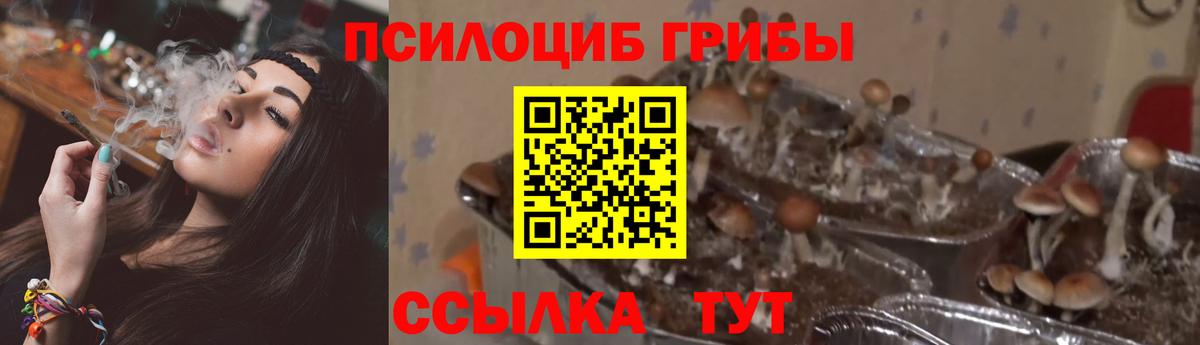 цена наркотик  Вход с VPN  Галлюциногенные грибы мицелий  Вязьма  Галлюциногенные грибы ЛСД 
